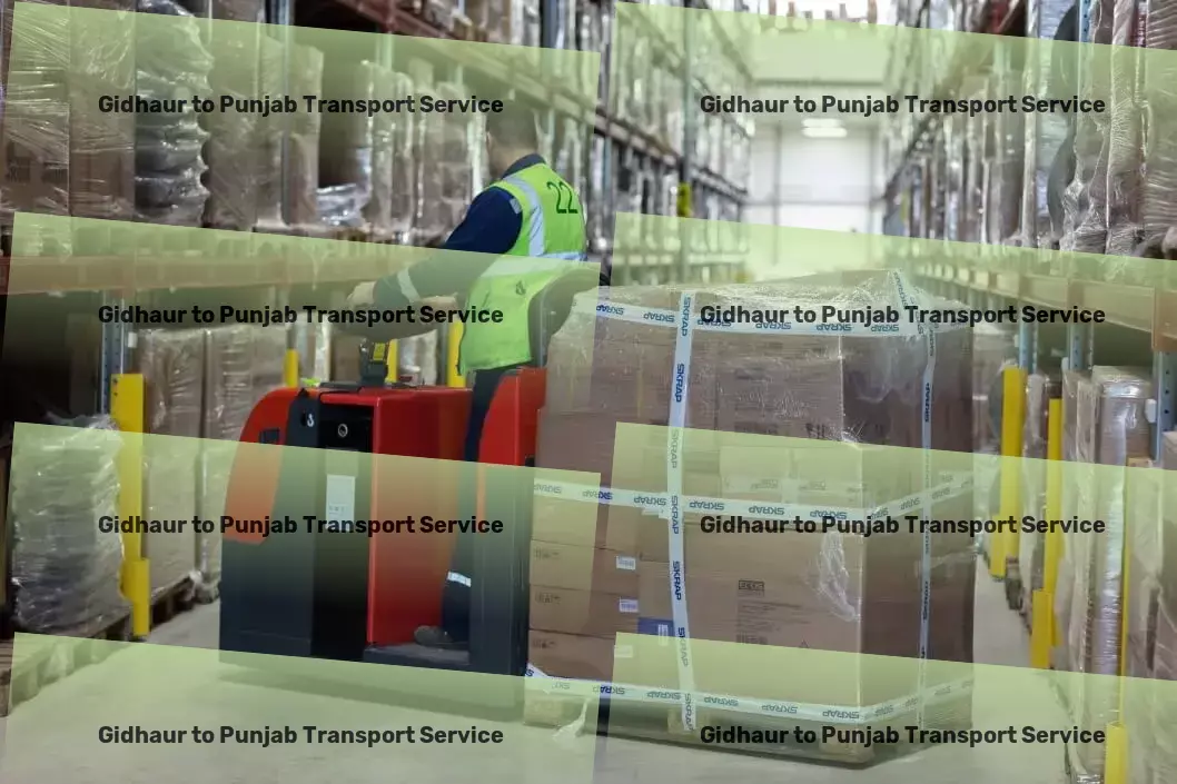 Gidhaur to Punjab Transport Professional goods forwarding