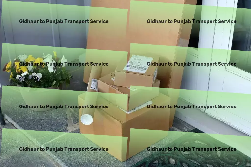 Gidhaur to Punjab Transport Customized package logistics