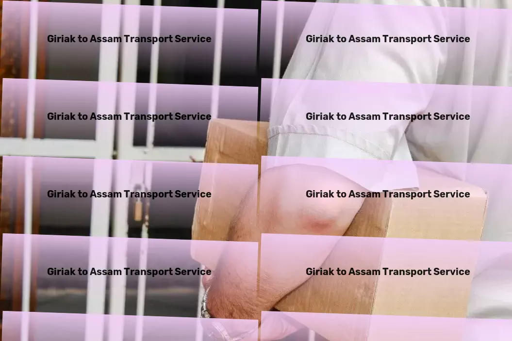 Giriak to Assam Transport Customized freight and shipment solutions