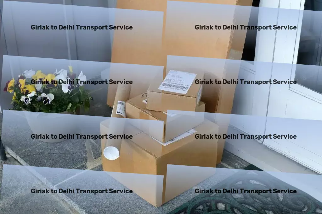 Giriak to Delhi Transport Customized goods shipment services