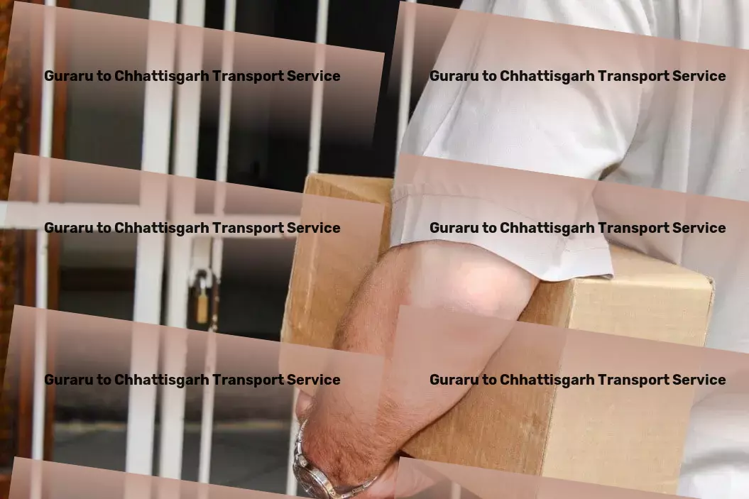 Guraru to Chhattisgarh Transport Customized parcel services