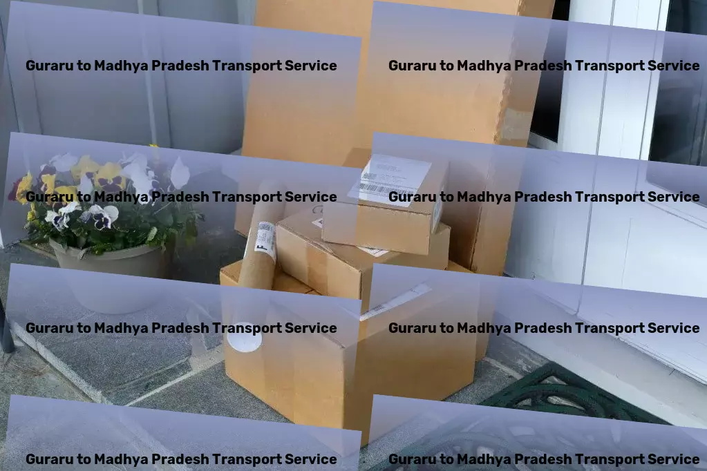 Guraru to Madhya Pradesh Transport Transport and logistics